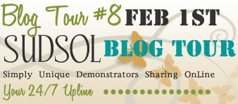 SUDSOL Blog Tour, February 1st!